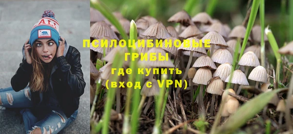 винт Баксан