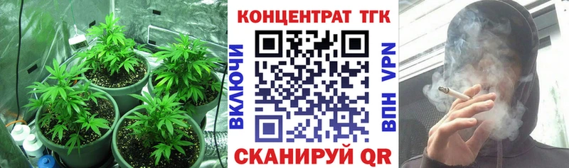 ТГК концентрат Ветлуга