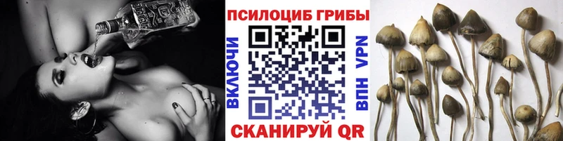 как найти закладки  кракен tor  Галлюциногенные грибы Cubensis  Ветлуга 