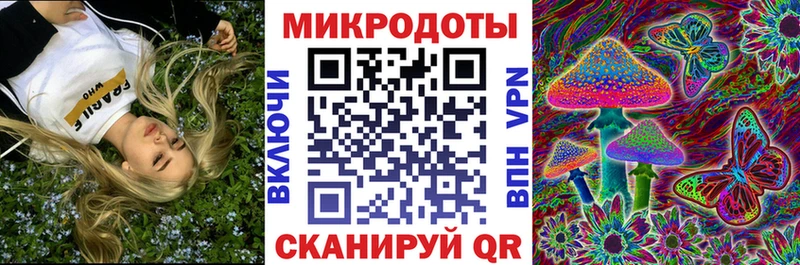 Псилоцибиновые грибы мицелий Ветлуга